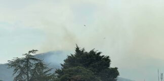 Пожар край Царево