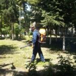 Пръскане срещу кърлежи