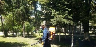 Пръскане срещу кърлежи