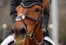 Тодоровден 2025