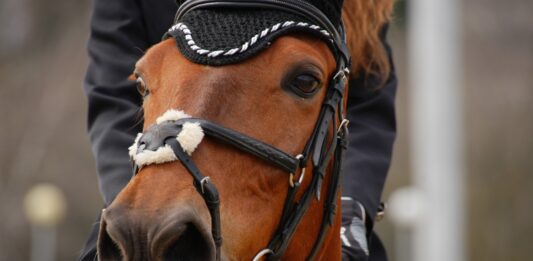 Тодоровден 2025