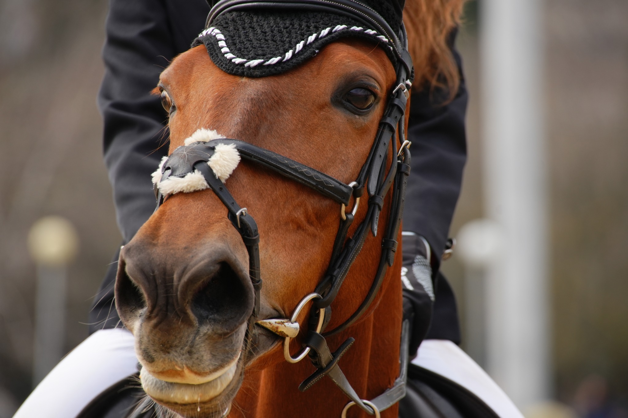 Ръководството и членовете на ККС Кан Крум Бургас имат удоволствието