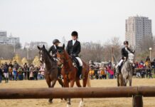 Тодоровден