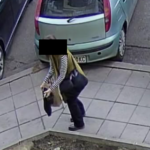 Тровене на животни в ж.к. "Младост"