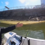 Замърсяване в река Дунав