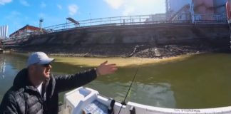 Замърсяване в река Дунав