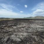 Местност "Алдомировското блато"