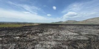 Местност "Алдомировското блато"