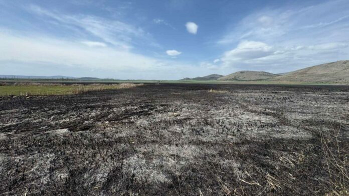 Местност "Алдомировското блато"