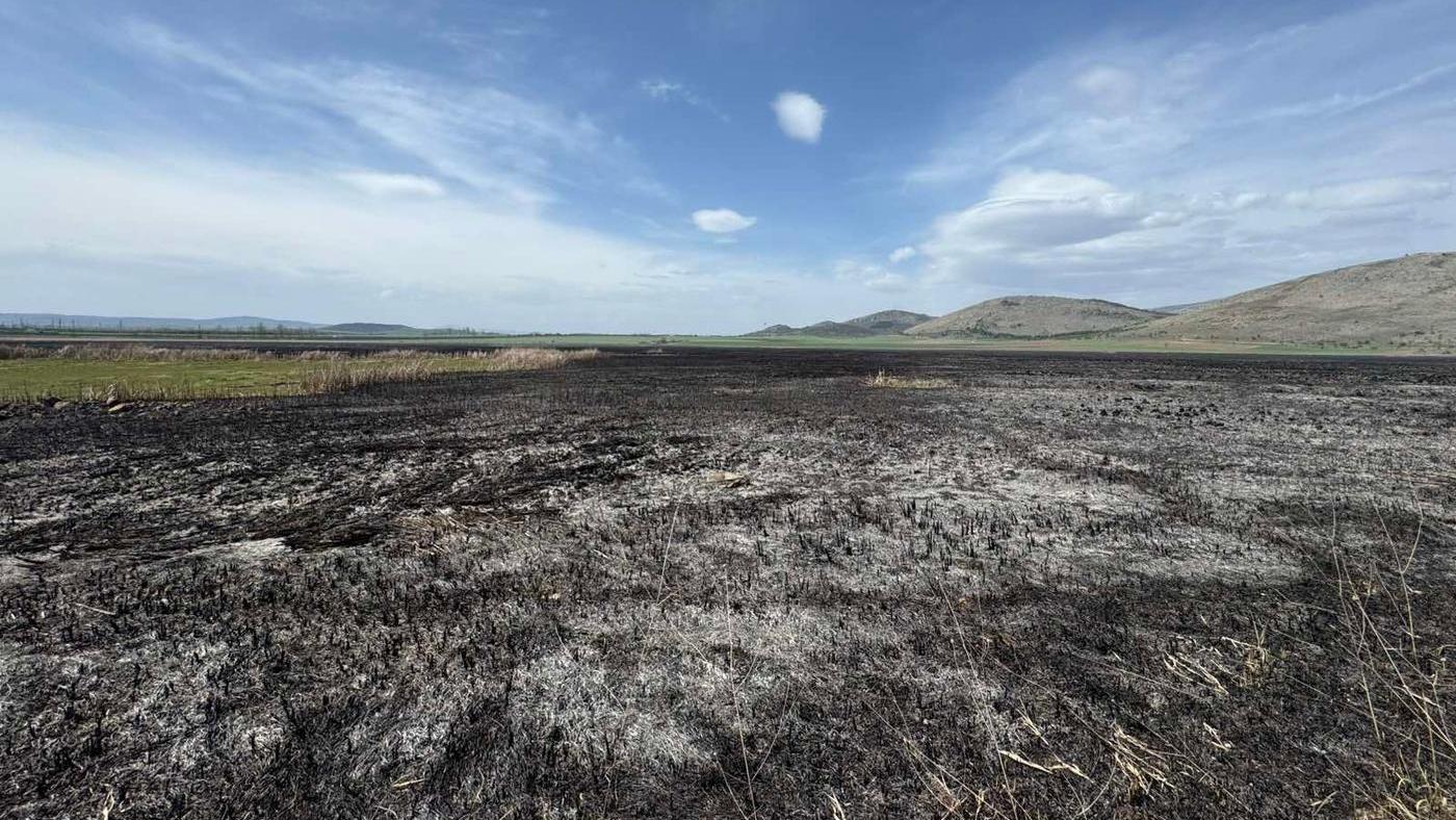 Регионална инспекция по околната среда и водите – София извърши