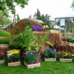 Флора Бургас