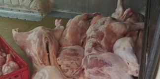 Кланицата в Ихтиман