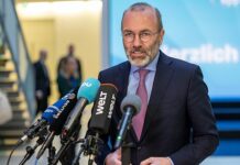 Манфред Вебер