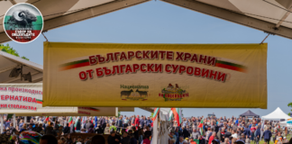 Националният събор