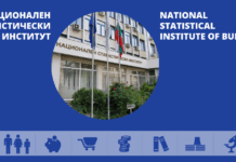 Национален статистически институт /НСИ/