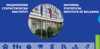 Национален статистически институт /НСИ/