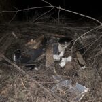 Разпръснати части от катастрофиралите коли в Плевенско