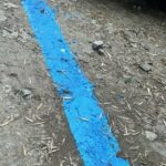 Синята зона