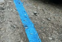 Синята зона