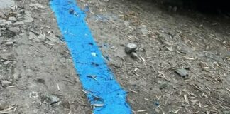 Синята зона