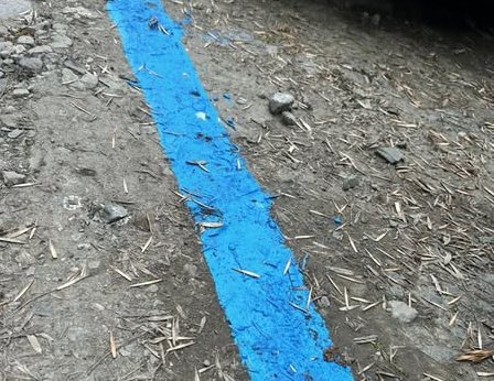 Омбудсманът на Община Бургас оповести получен от него сигнал на