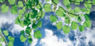 Слънчево време