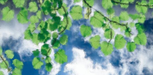 Слънчево време