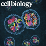 Списанието