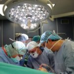 Трансплантация