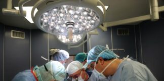 Трансплантация