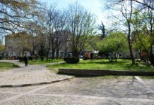 Централната част