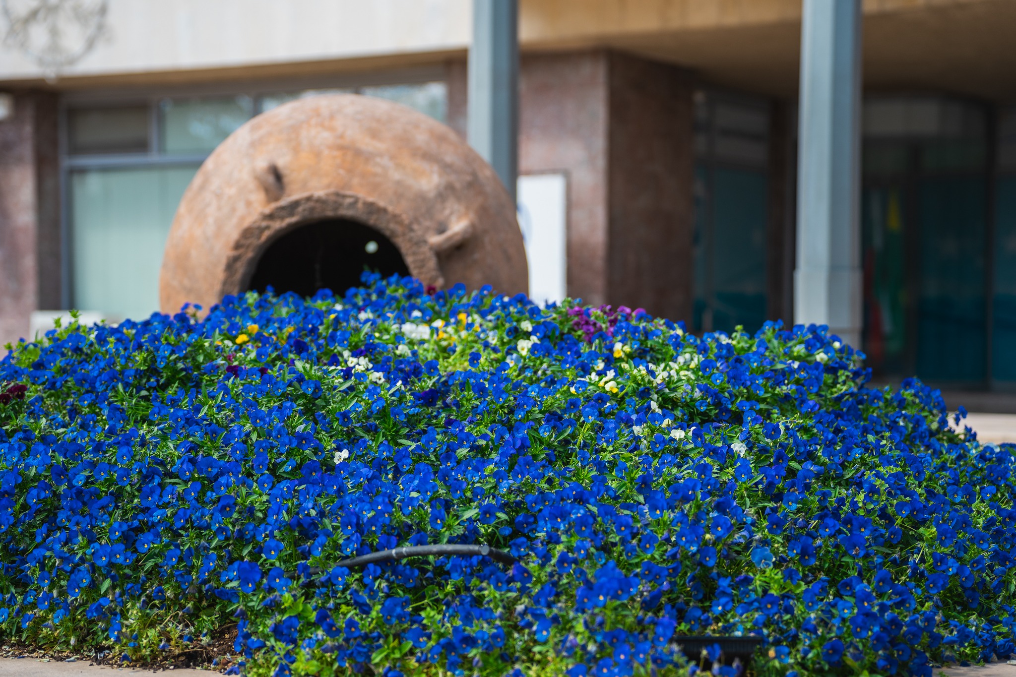 На 13 април в неделята преди Великден църквата отбелязва празника