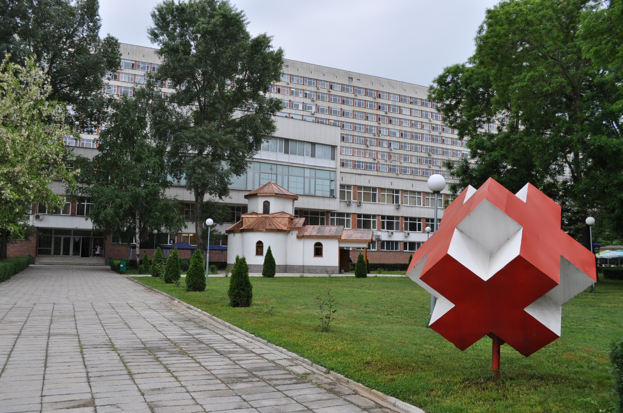 На 29 април светът отбелязва Световния ден на имунологията –