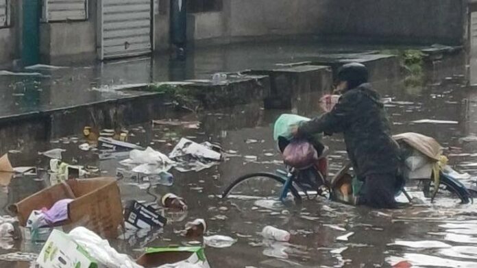 Зеленчуковата борса във Варна