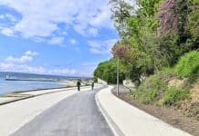 Алея "Първа"