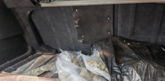 Близо килограм марихуана