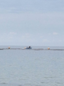 Бракониерите