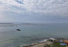 Бракониерите