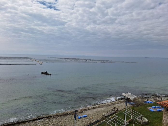 Бракониерите