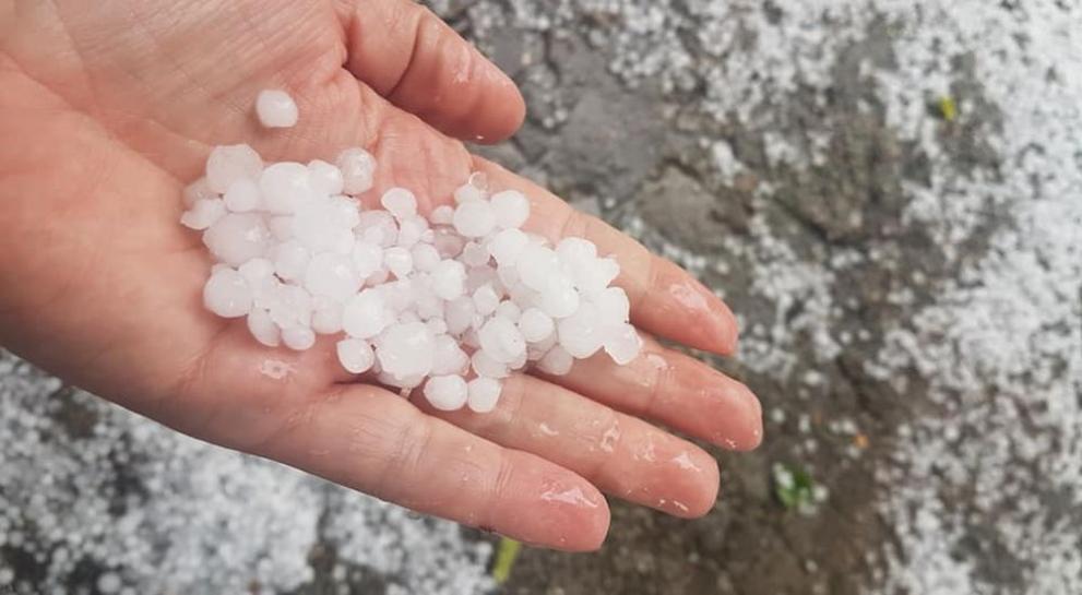 Паднала в сряда е унищожила почти цялата есенна култура в