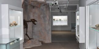 Чепеларе откри музей