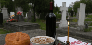 Черешова задушница