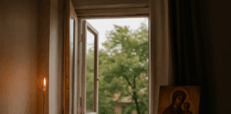 Черешова задушница