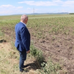 Д-р Георги Тахов прави оглед на щетите от градушки