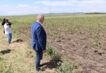 Д-р Георги Тахов прави оглед на щетите от градушки