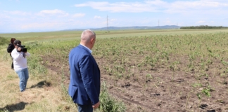 Д-р Георги Тахов прави оглед на щетите от градушки