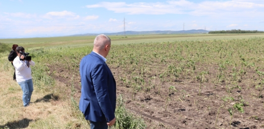 Д-р Георги Тахов прави оглед на щетите от градушки