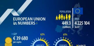 ЕС в числа