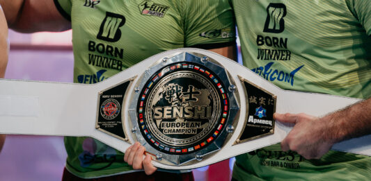 Европейската титла