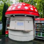 Гъбката в Бургас